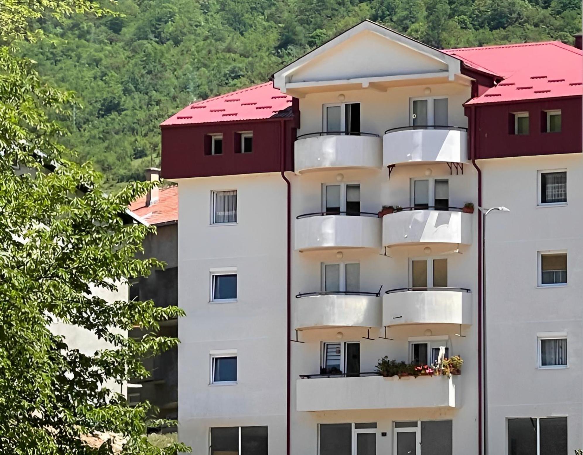 Elena Apartment Pluzine Exterior foto
